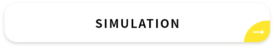 SIMULATION